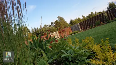 Brillo -ogrody- projektowanie i nadzór autorski